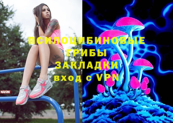 гидропоника Верея