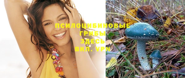 мет Верхний Тагил