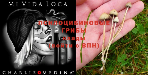 мет Верхний Тагил