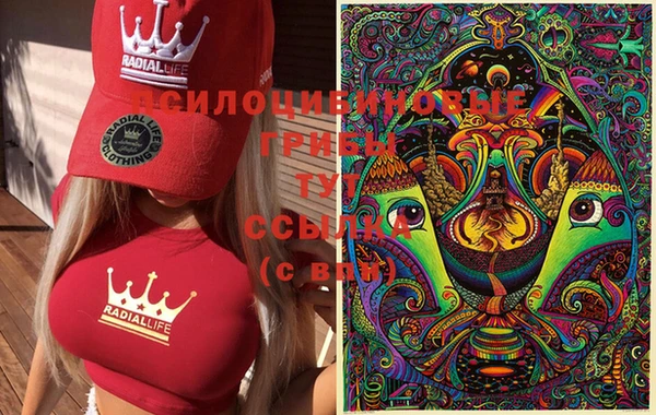 гидропоника Верея