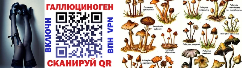 Галлюциногенные грибы Psilocybine cubensis Йошкар-Ола