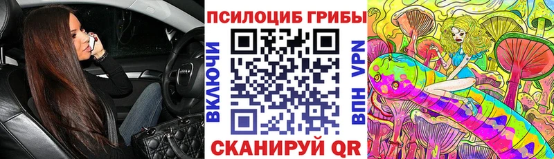 Псилоцибиновые грибы Psilocybe  Йошкар-Ола 
